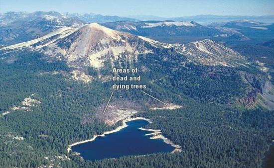 Aerial view of Mammoth Mountain and tree kill area near Horseshoe Lake, California